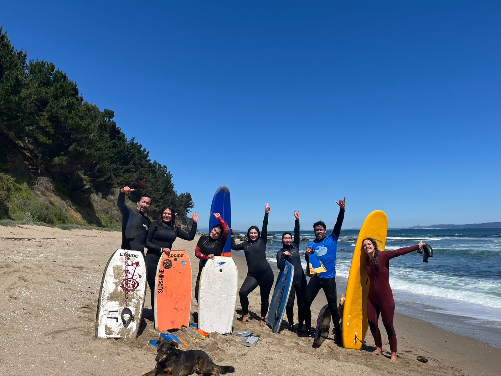 Surf foto